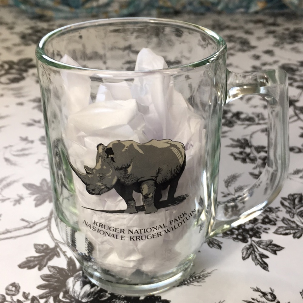 𝅺KRUGER National Park Clear Glass Souvenir Mug 4”